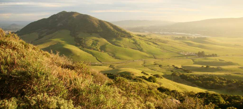 Overlook of Los Osos Valley and the surrounding hills blanketed in fresh green grass. Click to view article, Tuberculosis Cases Increase in SLO County and Across California