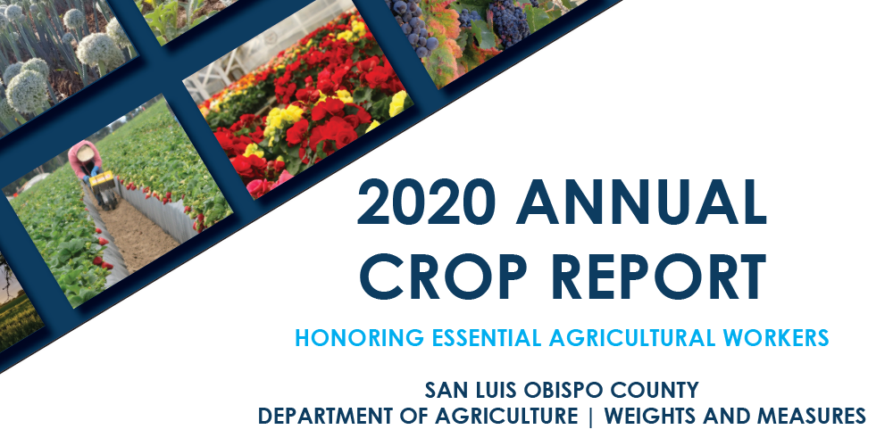 Crop Report Cover Click to view article, 2020 Annual Crop Statistics Released