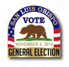 November 4, 2014 General Election Pin