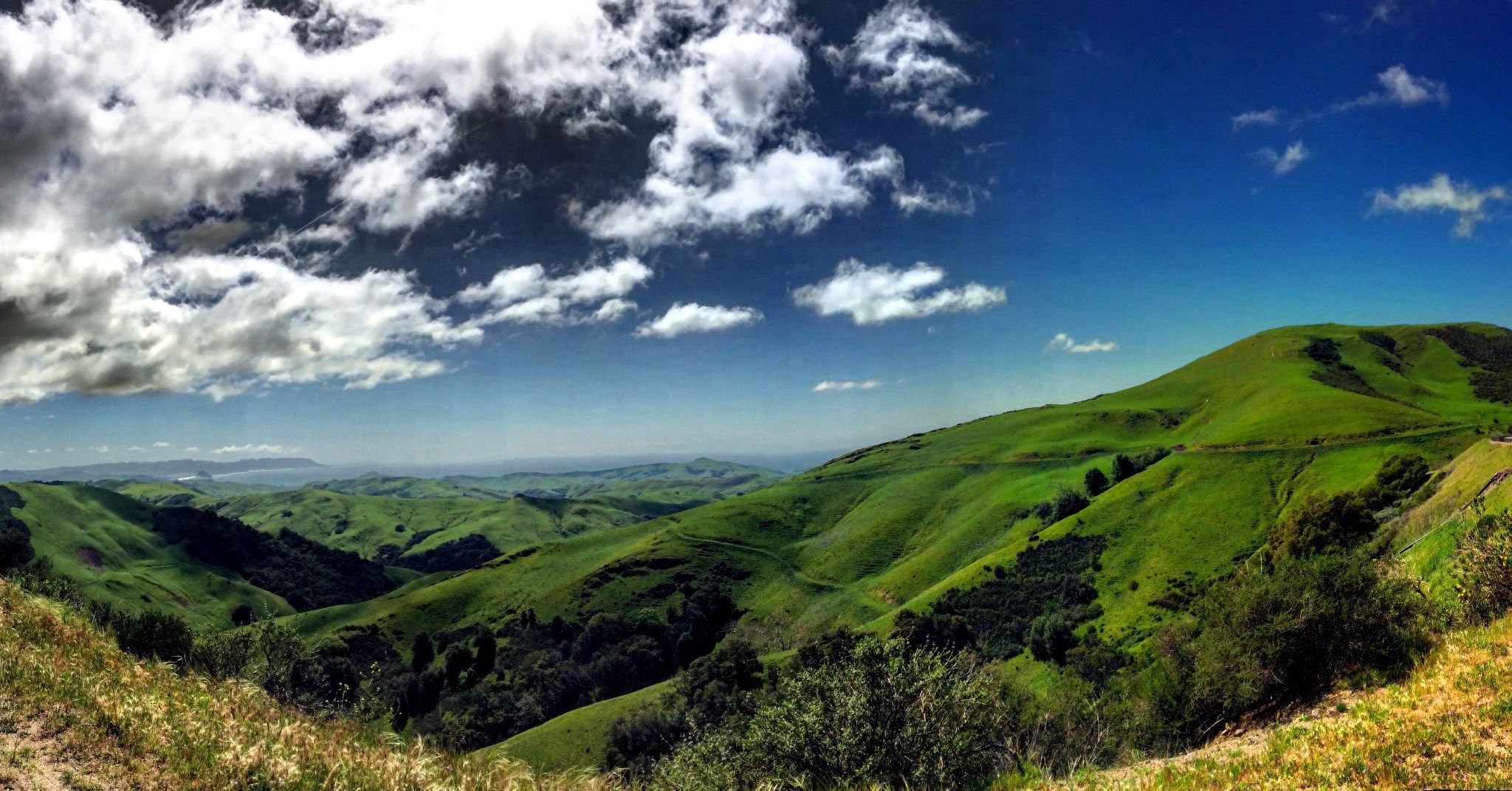 Emerald green hills on the way to Cambria. Photo by Giovanna Woods