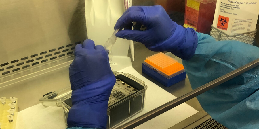 Scientist conducts PCR test for virus that causes COVID-19.