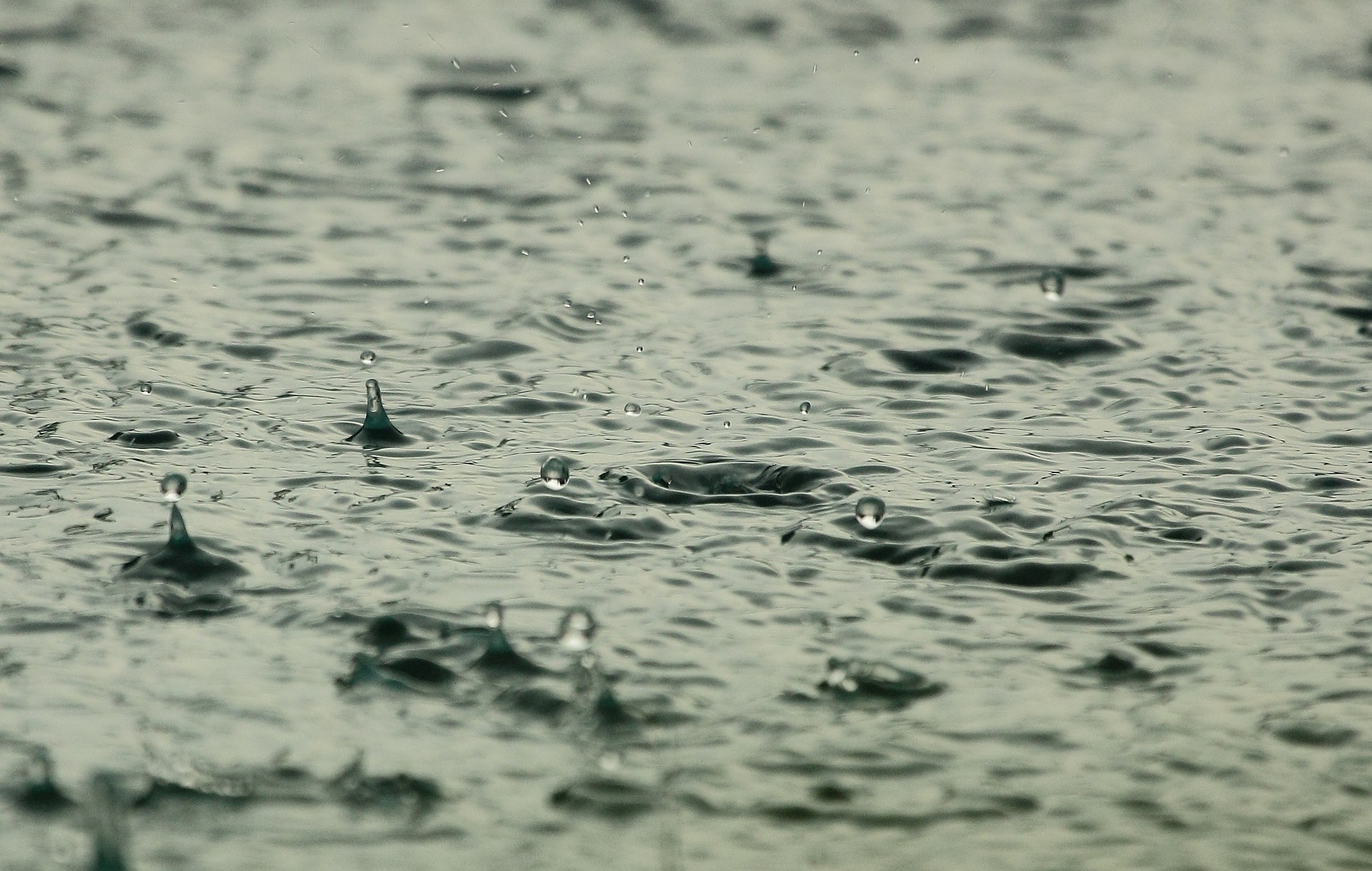Raindrops fall into a puddle 