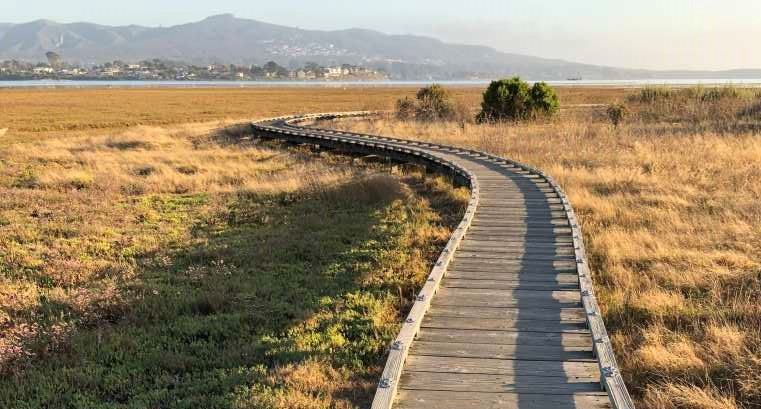 Pathway through Morro Marsh