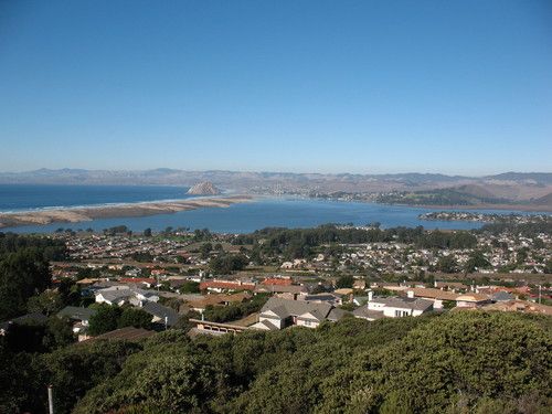 Sunny view of Los Osos from nearby hill top looking out over the bay.  The bushy hilltop is in the foreground, the town of Los Osos in the middle ground, and Morro Bay and beyond in the background.