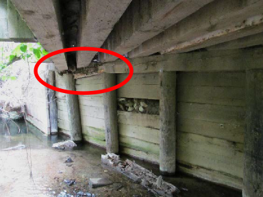 Crushed Timber Cap Beam on Pippin Lane Bridge – Before Repair