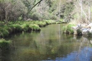Mid Salinas - Atascadero Creek Area Watershed