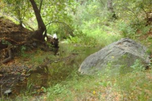 San Luis Obispo Creek Watershed