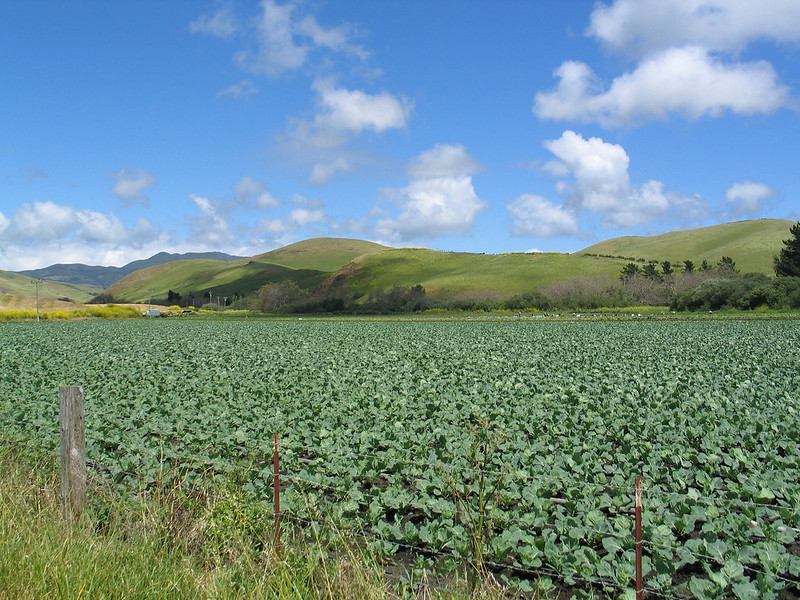 Field in the foreground with hills in the background.
