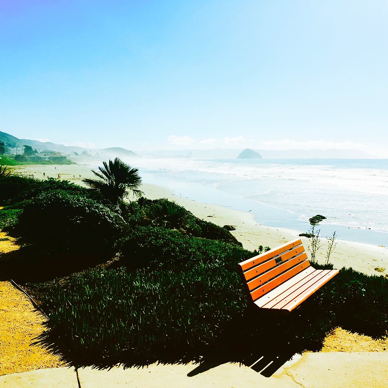 Bench overlooking the ocean