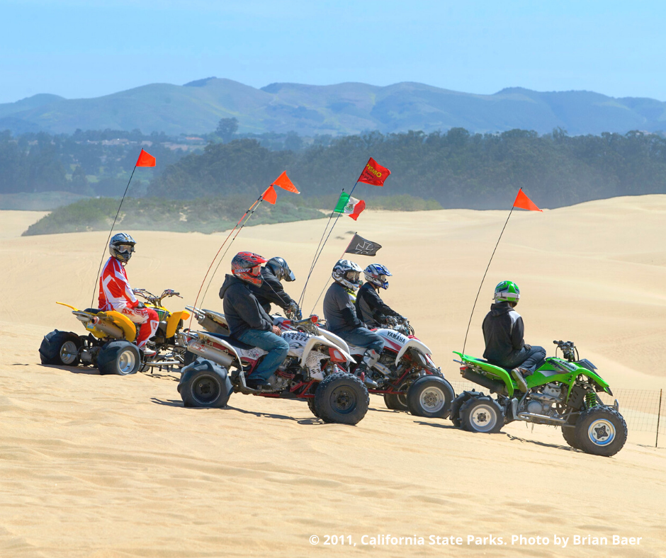 Group of people riding quads at the dunes.