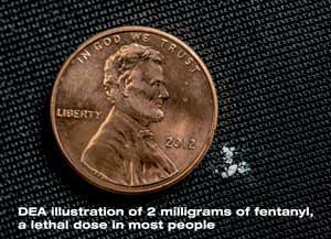 Tiny spec of fentanyl pictured next to a penny to illustrate 2 milligrams of fentanyl, which is a lethal dose for most people.