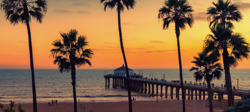 A beach at sunset with an orange sky and silhouettes of palm trees, a pier with people walking along it and the beach. Click to view article, Updated State Guidance Shortens COVID-19 Isolation Period