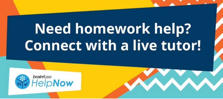Homework help from the library in person and online