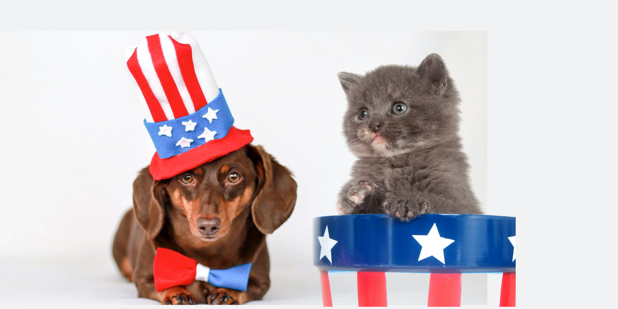 Dog and cat wearing festive costumes Click to view article, Animal Services Division Offers Tips  to Keep Pets Safe During July 4 Holiday