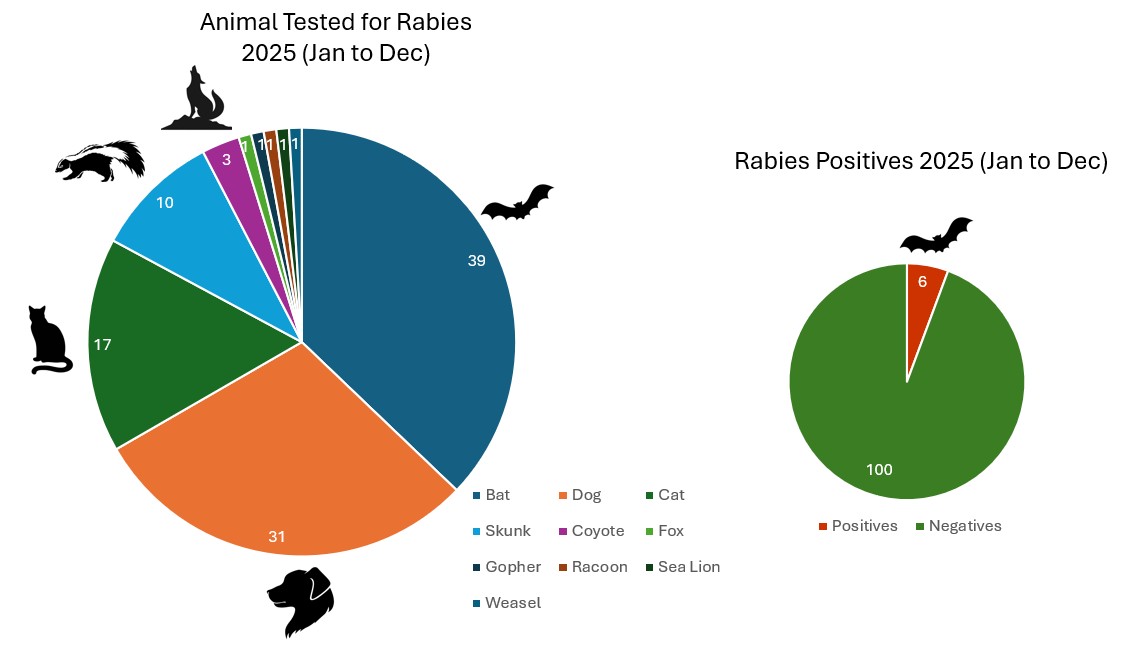 Rabies surveillance data 2025