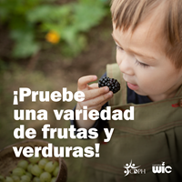 Un niño pequeño está por probar una mora fresca en un jardín al aire libre. El texto de la imagen dice “¡Pruebe una variedad de frutas y verduras!”.