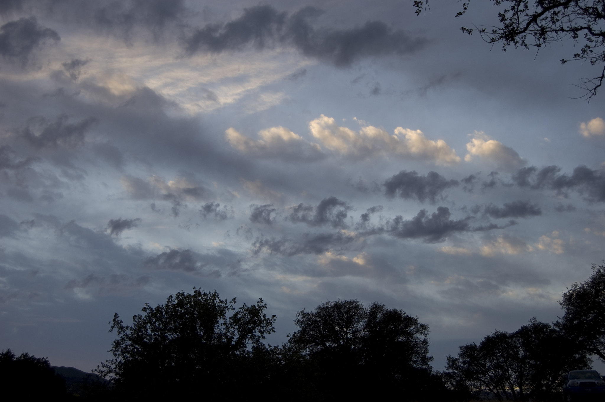 Photo by Tracey Adams.