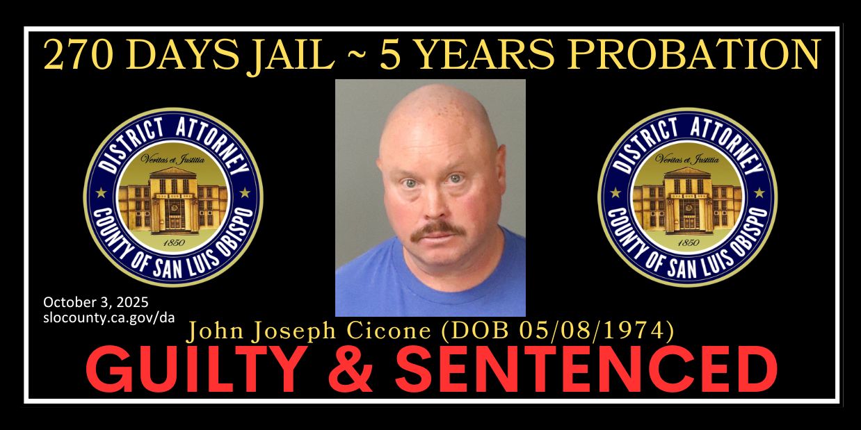 Defendant Given Probation for Felony DUI Injuring Two and Fleeing the Scene 