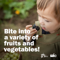 A toddler is about to bite into a fresh blackberry in an outdoor garden. Text on graphic says, “Bite into a variety of fruits and vegetables!”