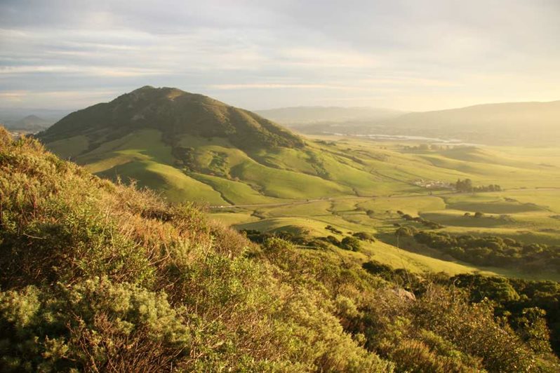 view of SLO County hills Click to view article, Additional Cases of Omicron Variant Confirmed in San Luis Obispo County