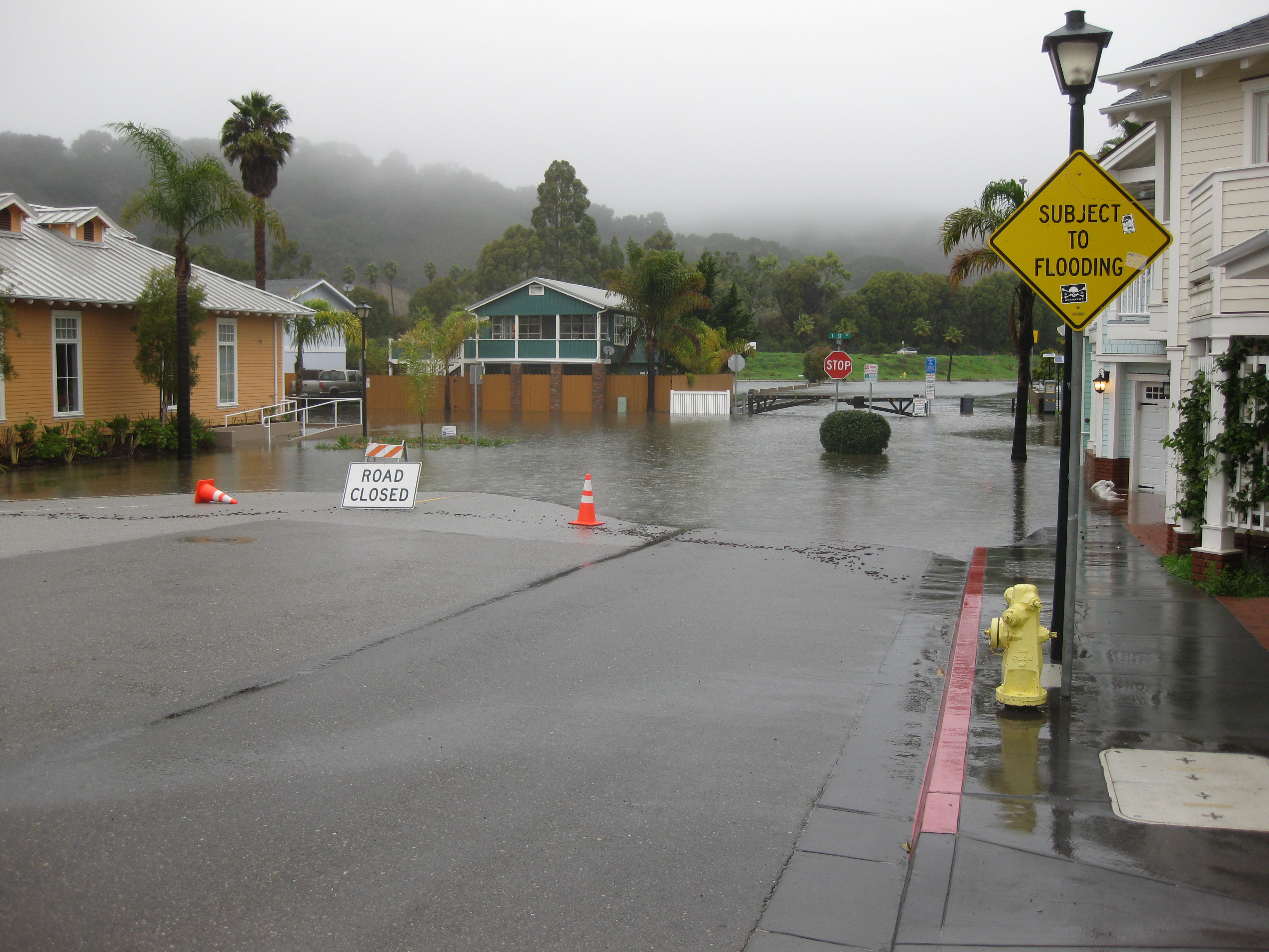Flooded 1st St (1/6/11)