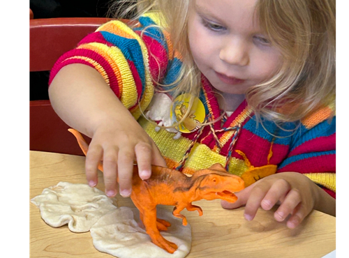 Child playing with a dinosaur toy