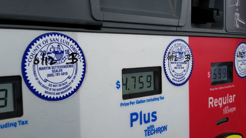 Fuel Pump Seals