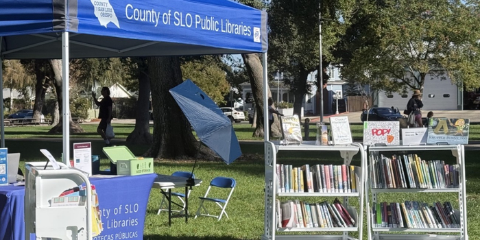 A library booth set up in a park