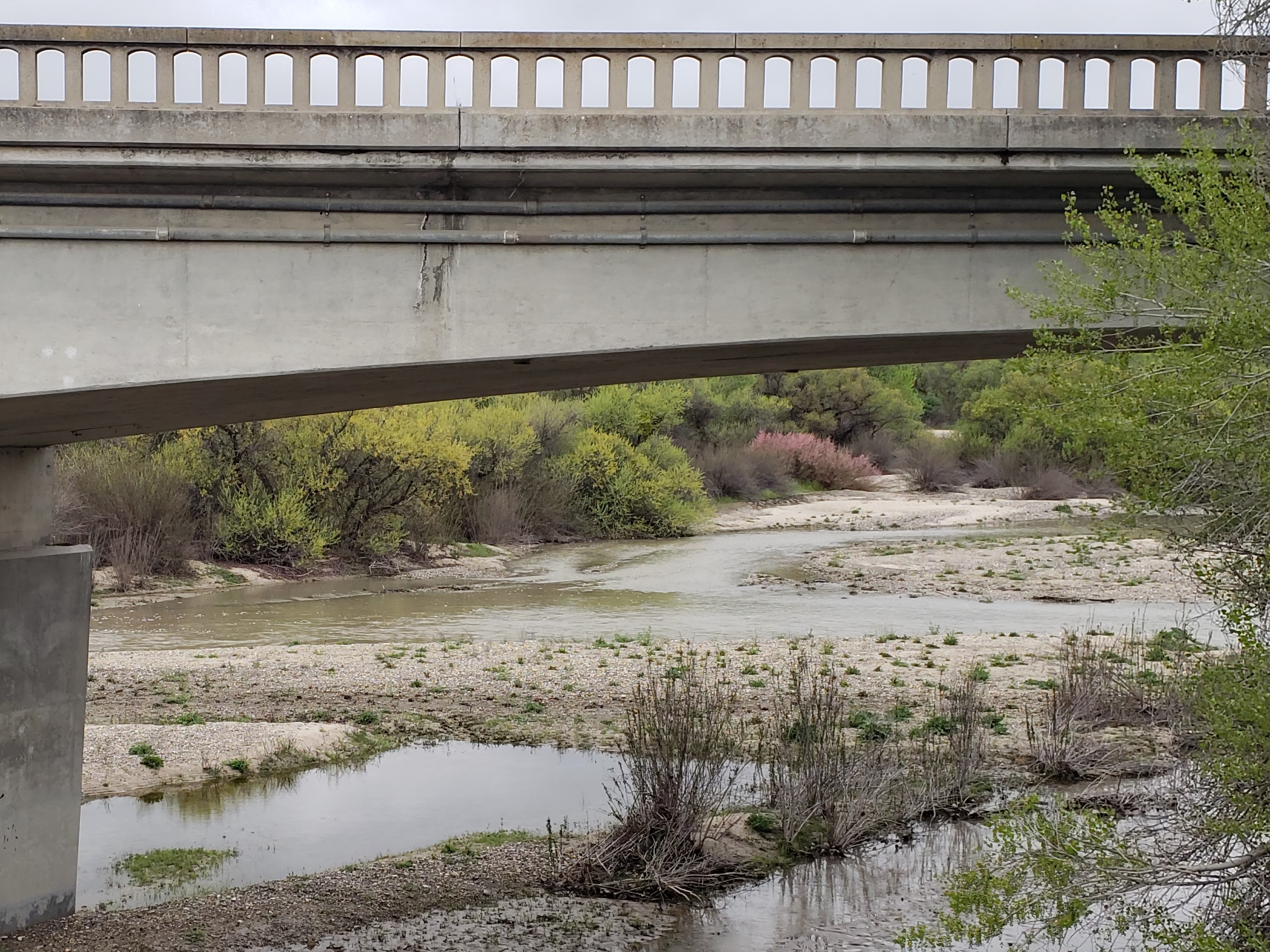Salinas River "Live Stream"