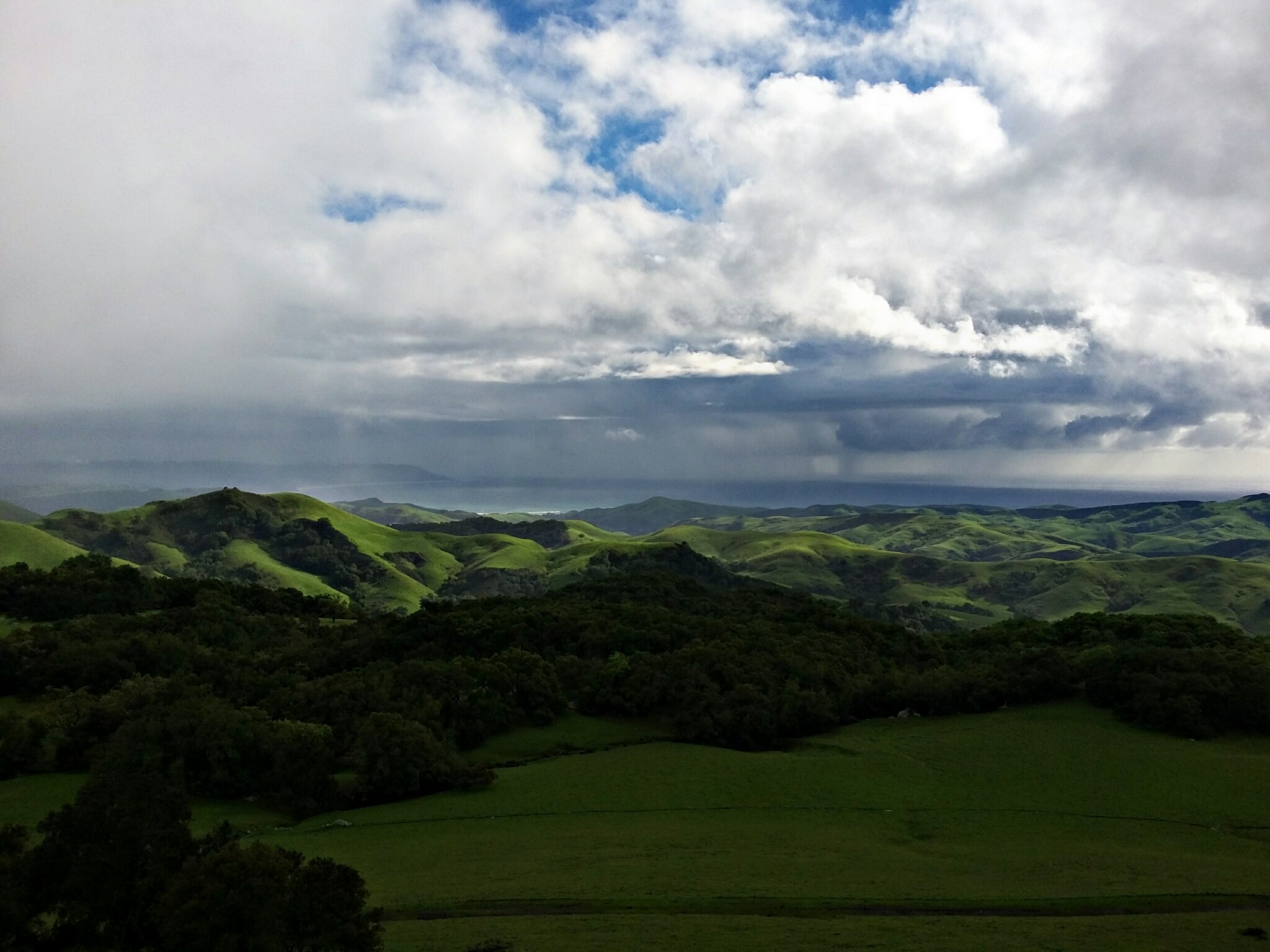 Photo by Rianna Baldwin.