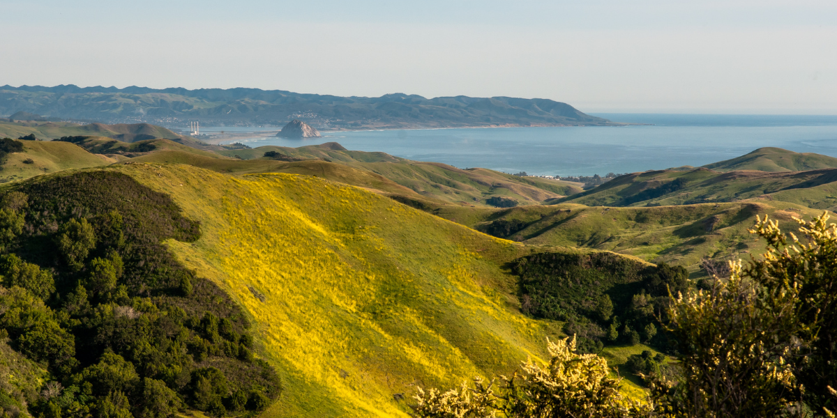 Landscape of San Luis Obispo County