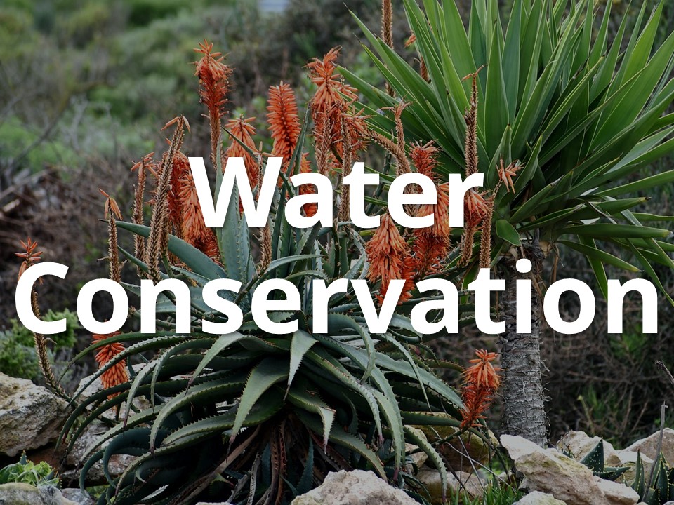 Register your business with a Fictitious Business Name Statement. Learn More