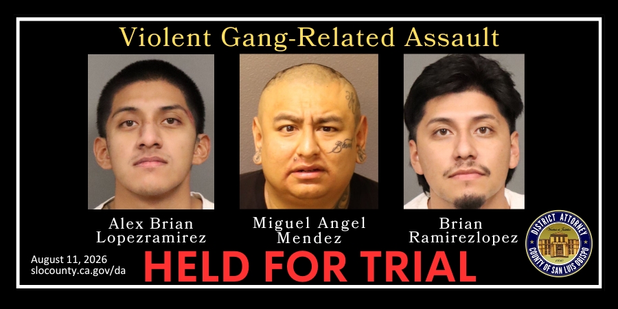 Violent Gang-Related Assault, Booking Photos for Alex Brian Lopezramirez, Miguel Angel Mendez, Brian Ramirezlopez Held For Trial