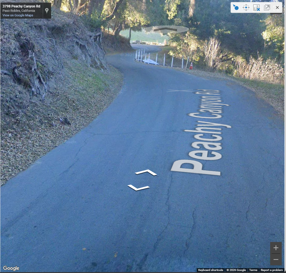 A screenshot of a curving road, with the street name Peachy Canyon Road overlaid digitally and oak trees on either side of the street