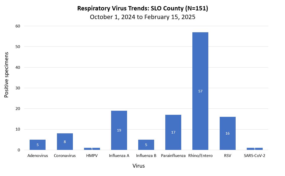 Respiratory virus trends October 2024 to February 2025