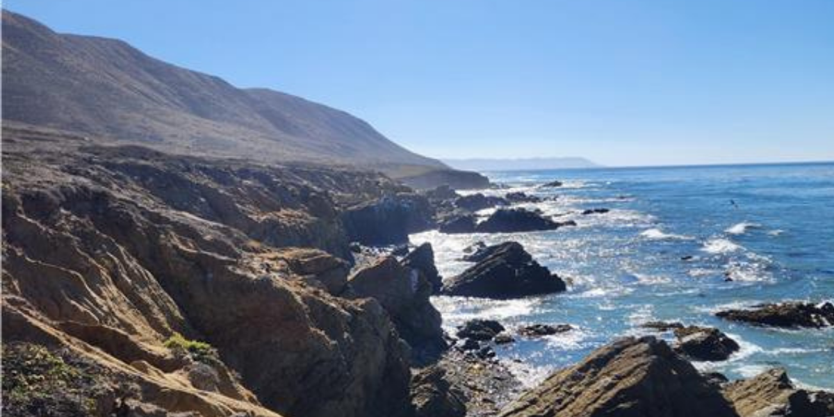 Central Coast beach.