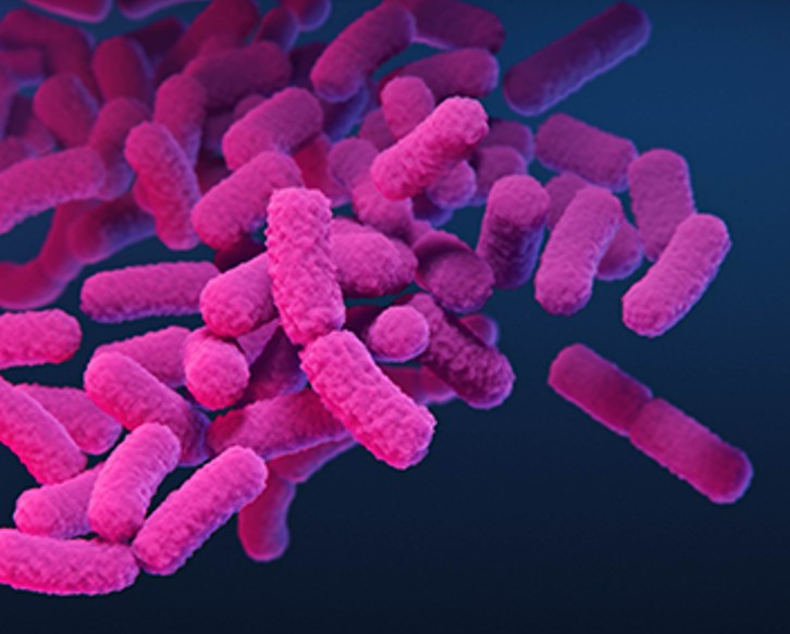 Carbapenem-resistant bacteria picture