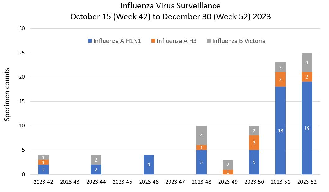 Influenza trends for 2023 and 2024