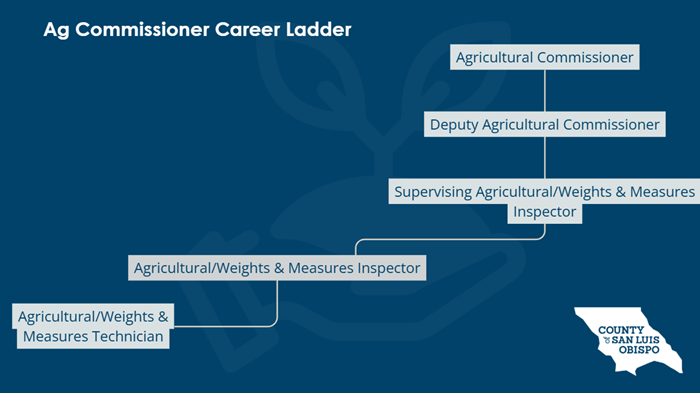 Career ladder for the Agriculture / Weights and Measures department. The ladder starts with the position of agricultural/weights & measures technician, and moves up to agricultural/weights & measures inspector. The next position is supervising agricultural/weights & measures inspector, then deputy agricultural commissioner, and ending at agricultural commissioner.