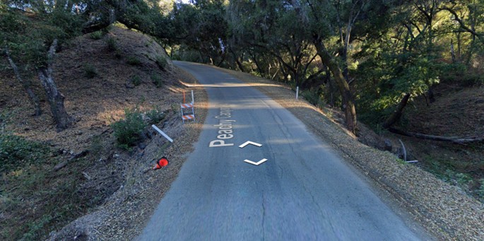 A curving road on a hillside with oak trees on both sides of the road and sunlight filtering through the trees