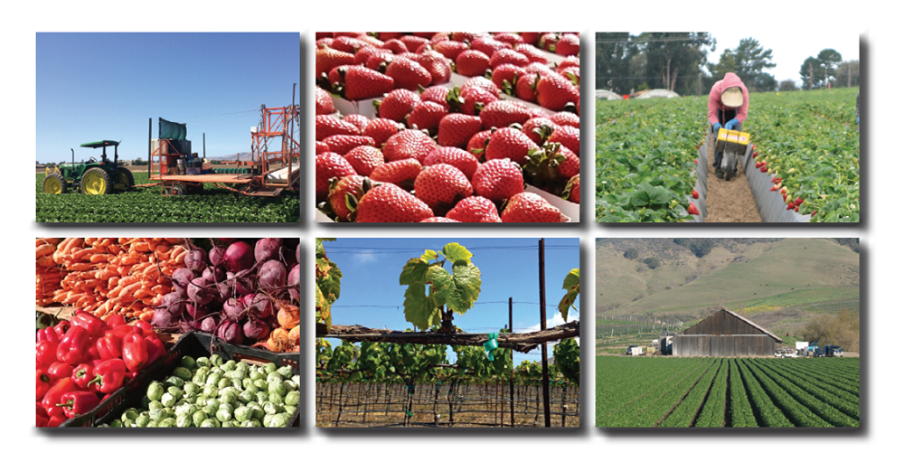 Crop Report Cover Tiles