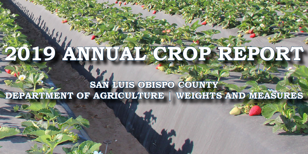 2019 Crop Report Cover